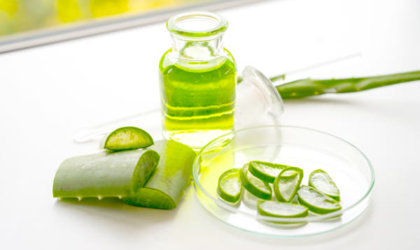 Aloe Vera Concentrate - Image 3